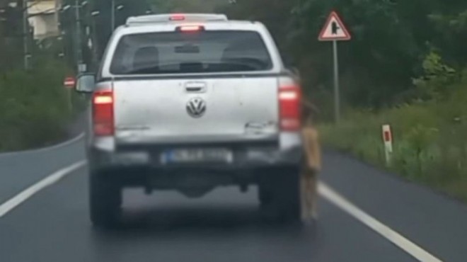 İstanbul da köpeğe işkenceye para cezası