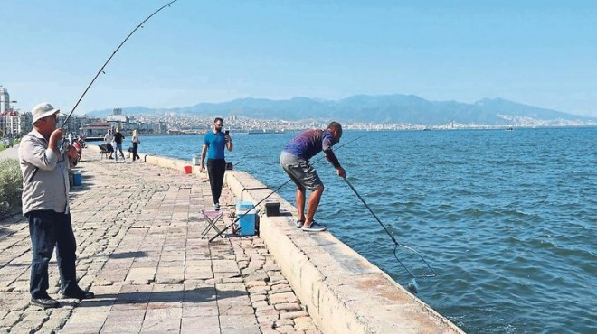 İşte Körfez de balık tutmanın bedeli!