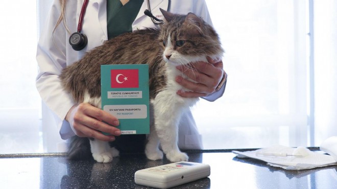 İzmir de 121 bin 234 evcil hayvan kayıt altına alındı