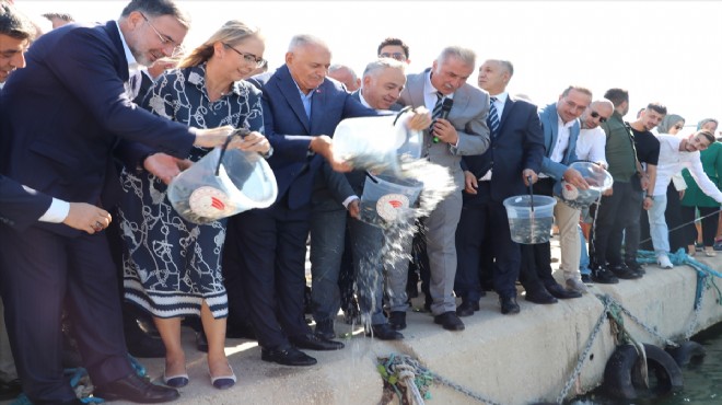 Körfezdeki balık ölümleri için ‘Yıldırım’ çıkış: Büyük bir felaketin habercisi