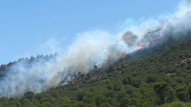 İzmir de bir günde üçüncü orman yangını!