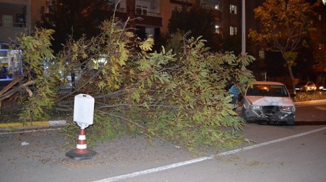 İzmir de feci kaza... Önce arabaya, sonra ağaca!