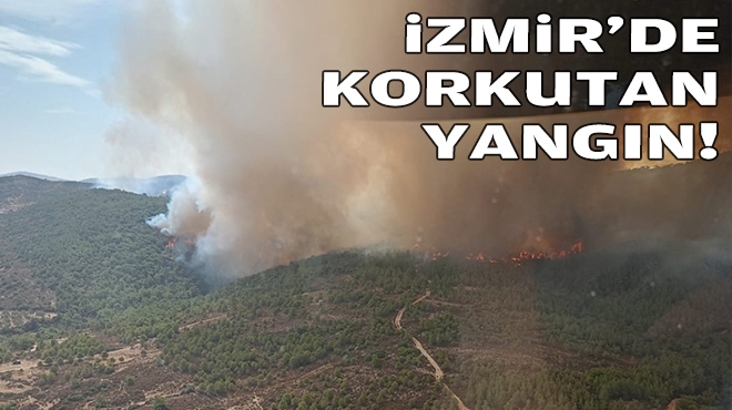 İzmir'de korkutan yangın!