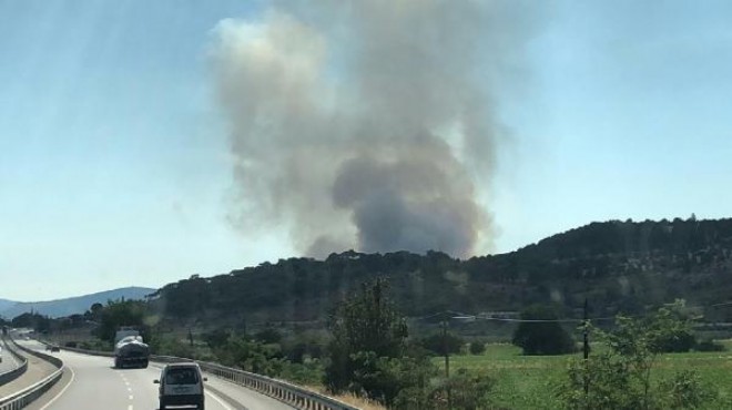 İzmir de korkutan yangın: 10 hektar alevlere teslim oldu!