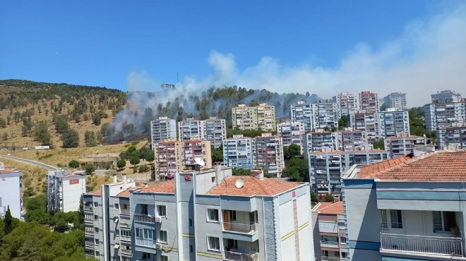 İzmir in 4 ilçesindeki yangın kontrol altında