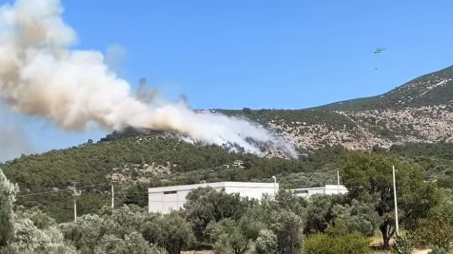 İzmir de makilik yangını... Kontrol altına alındı!