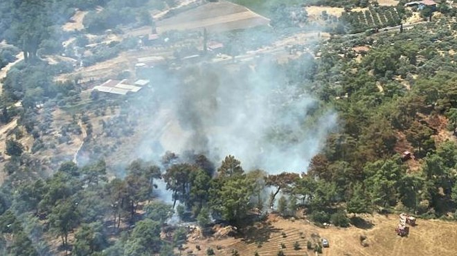 İzmir de orman yangını kontrol altına alındı