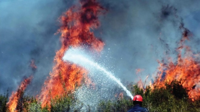 İzmir de orman yangını: Köylülerin meyve ağaçları kül oldu!