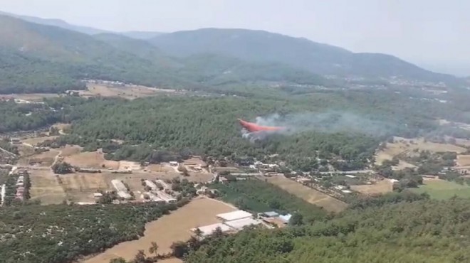 İzmir de orman yangınına jet müdahale!