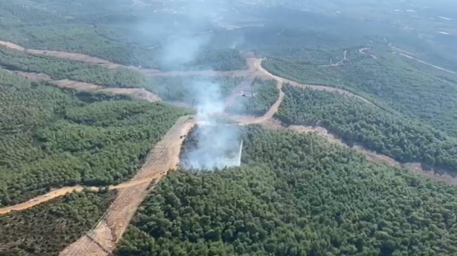 İzmir de ormanlık alanda yangın!