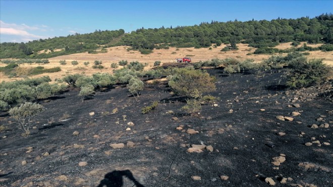 İzmir de otluk alanda çıkan yangın söndürüldü