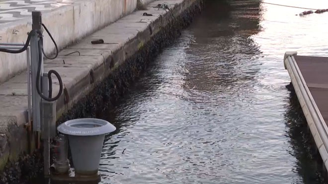 İzmir de  poyraz etkisi : Deniz suyu çekildi!