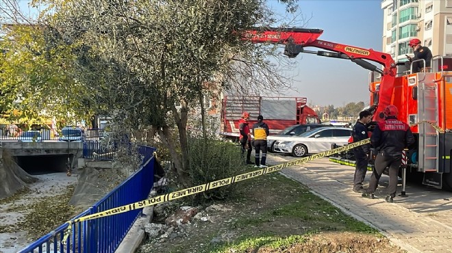 İzmir de talihsiz ölüm... Zeytin ağacından dereye uçtu!