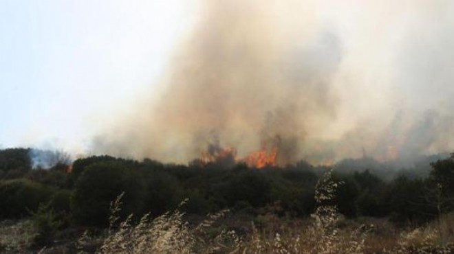 İzmir de yine yangın: Büyük panik yaşandı!