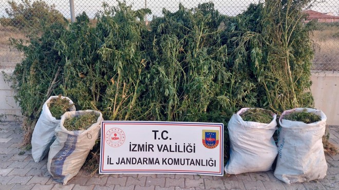 İzmir de zehir taciri avı... 1 haftada 30 gözaltı!