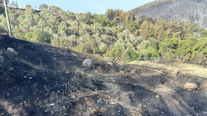 İzmir deki orman yangını kontrol altında