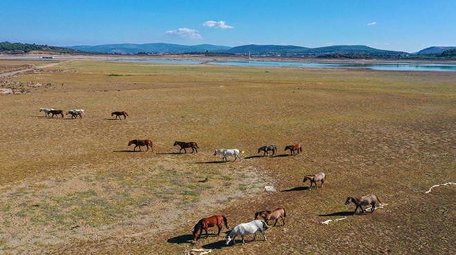 İzmir’in hayat damarında büyük tehlike!