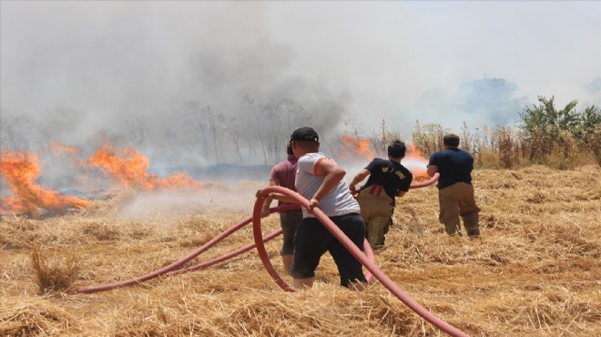 İzmir in iki ilçesinde tarım arazisinde yangın!