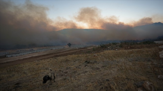 İzmir için Z raporu: 900 kişi tahliye edildi, 78 kişi hastanelik!