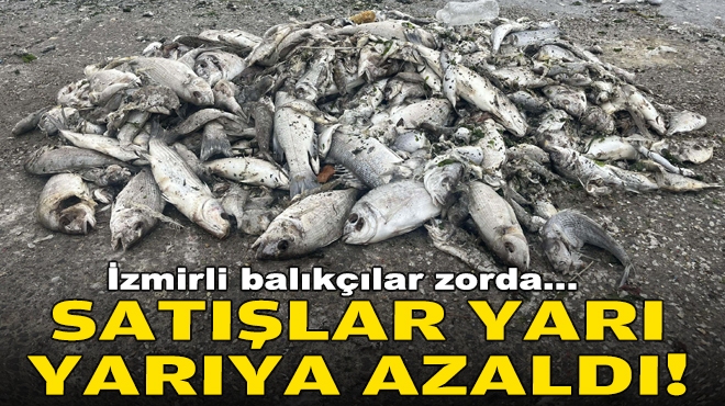 İzmirli balıkçılar zorda: Satışlar yarı yarıya azaldı!