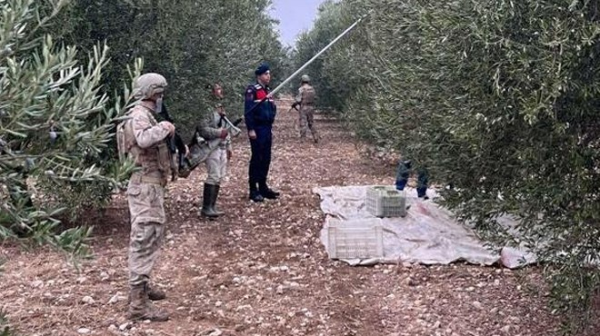 Jandarma komando timlerinden zeytin nöbeti