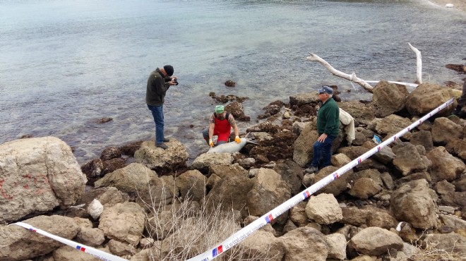 Karaburun  sevimli yavru’sunu kaybetti!