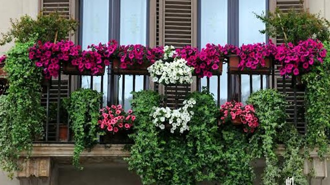 Karşıyaka’nın balkonları çiçek açacak