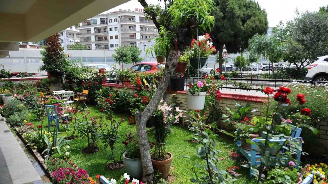 Karşıyaka nın en güzel balkon ve bahçesi seçiliyor