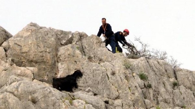 Kayalıkta mahsur kalan keçiyi itfaiye kurtardı
