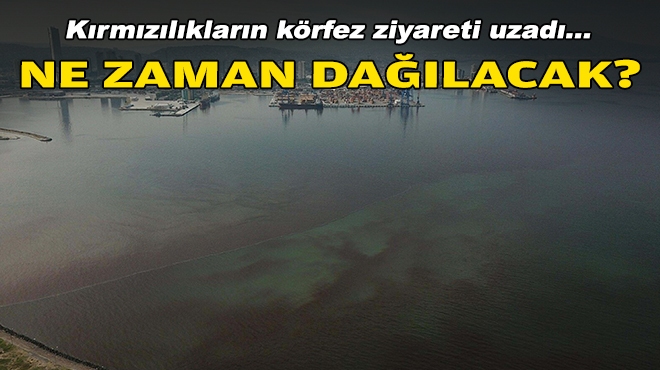 Kırmızılıkların körfez ziyareti uzadı... Ne zaman dağılacak?