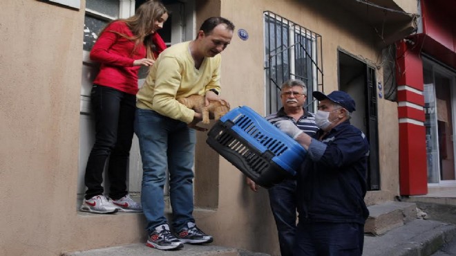 Konak’ta sevimli dostlar güvende