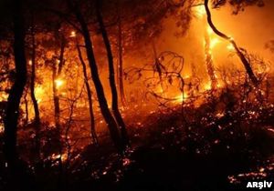İzmir de yıldırım 5 hektar ormanı kül etti