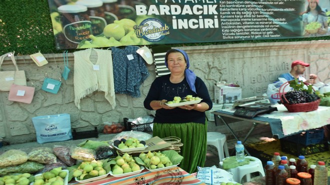 Kuraklık Bardacık ı da vurdu!