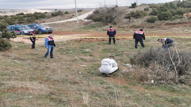 Kütahya da bulunan ölü köpekler İzmir e yollandı... Soruşturma başlatıldı!