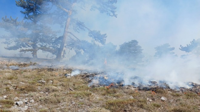 Kütahya da orman yangını: 1 hektar alan zarar gördü