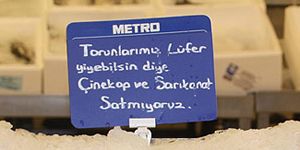 Metro dan çevreci karar