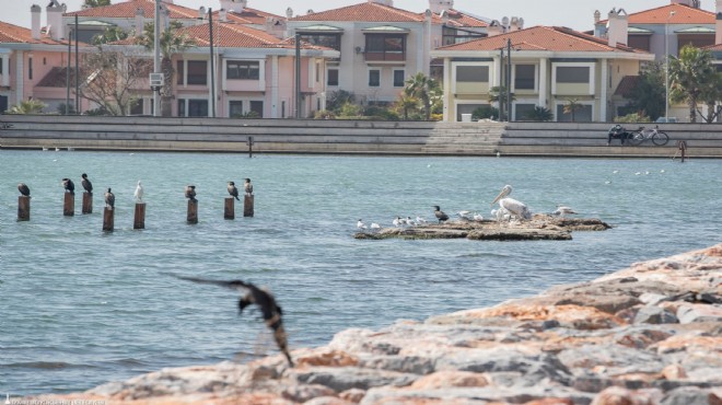 Mahkemeden flaş karar: Flamingo Parkı yıkılacak mı?