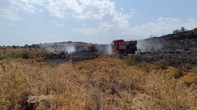 Makilik alanda yangın: 3 hektar küle döndü!