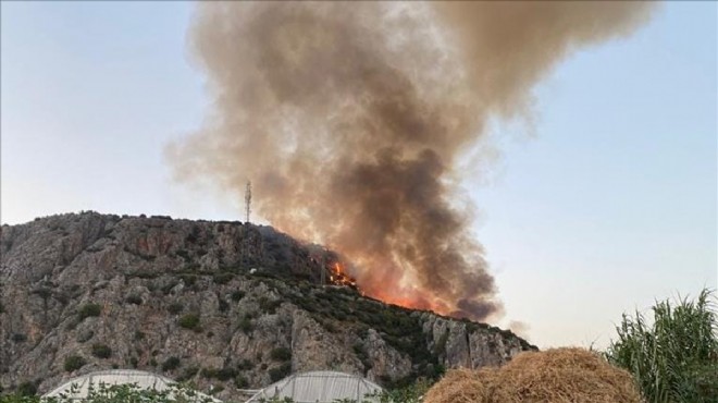 Muğla da makilikte başlayan yangın ormana sıçradı