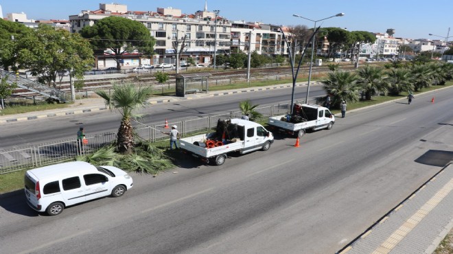 Manisa Büyükşehir den yeşil alanlara bakım!