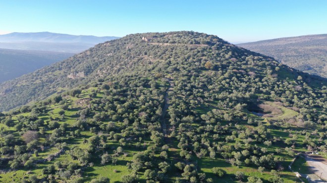 Manisa da 1900 yıllık antik yol ortaya çıkarıldı