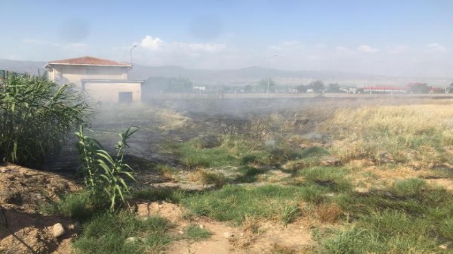 Manisa da buğday tarlası ve üzüm bağı yandı