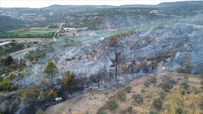 Manisa da çıkan orman yangını söndürüldü