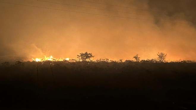 Manisa da makilik yangını: 35 dönüm zarar gördü!