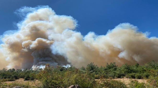Manisa da orman yangını: Havadan ve karadan müdahale!