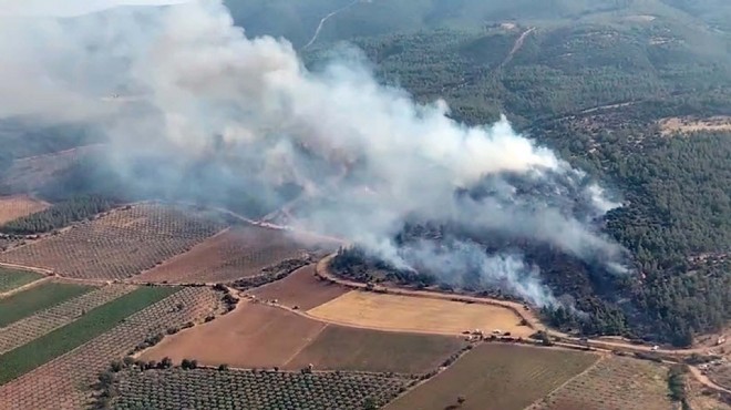 Manisa da orman yangını: Müdahale sürüyor