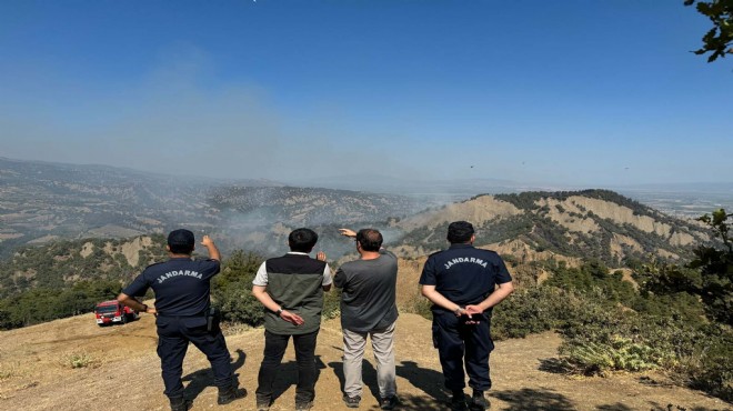 Manisa da yangın bilançosu: 290 hektar küle döndü!