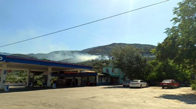 Manisa da zeytin ağaçları yandı