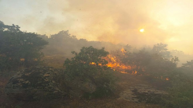 Manisa daki orman yangınında acı bilanço: 35 dekar kül oldu!