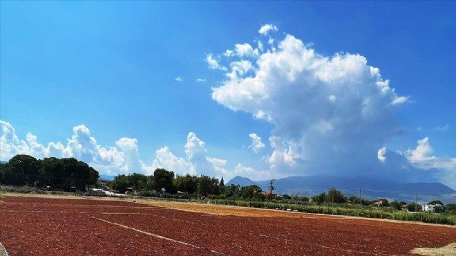 Manisa daki sağanak kuru üzümlere zarar verdi